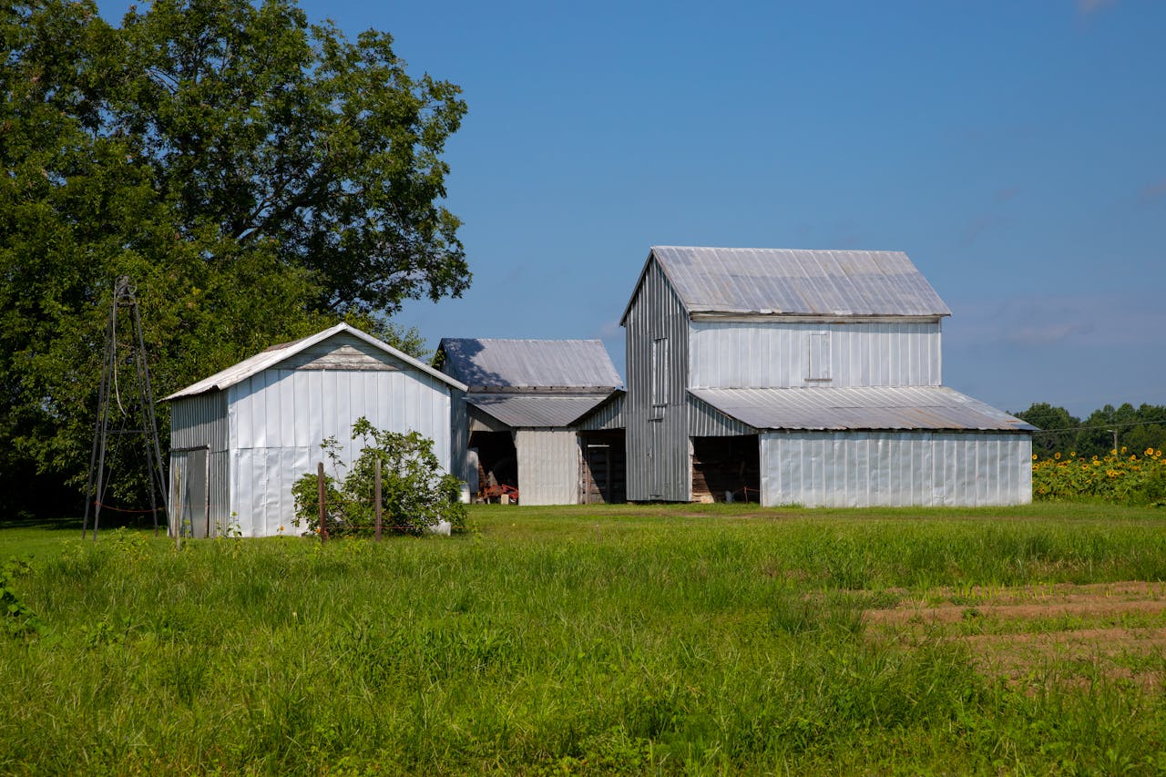 The Art of Drawing Readers In: Your attractive post title goes here Serene countryside farm in North Carolina with traditional metal barns surrounded by lush greenery.