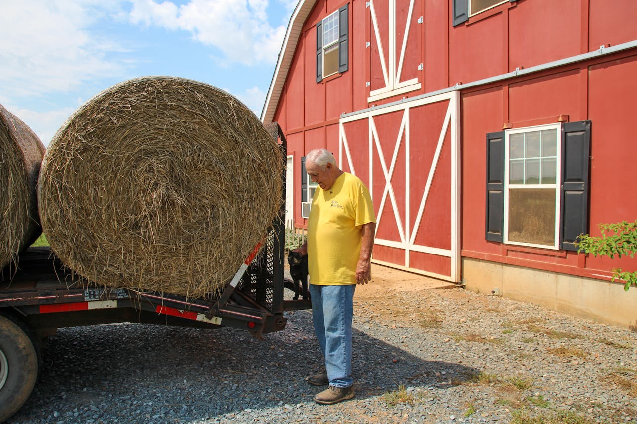 Senior farmer in yellow shirt by red barn with hay bale on trailer.